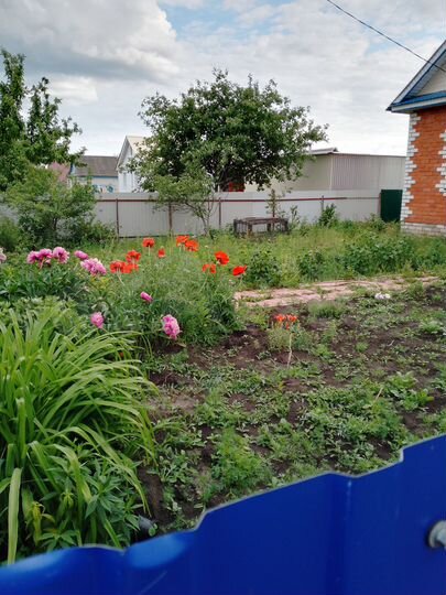 Дом 74 м² на участке 12 сот.