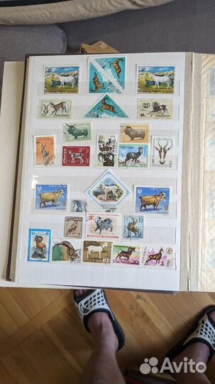 Альбом с марками. Животные