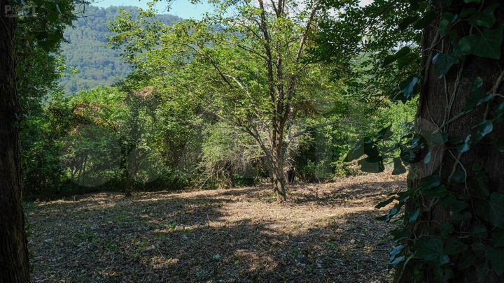 Участок 7,6 сот. (СНТ, ДНП)