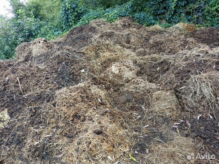 Конский навоз бесплатно