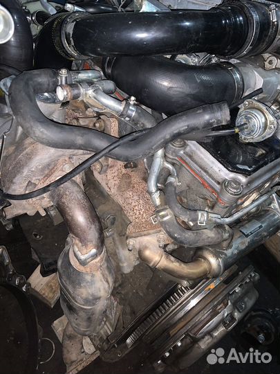 Двигатель ZD30ddti