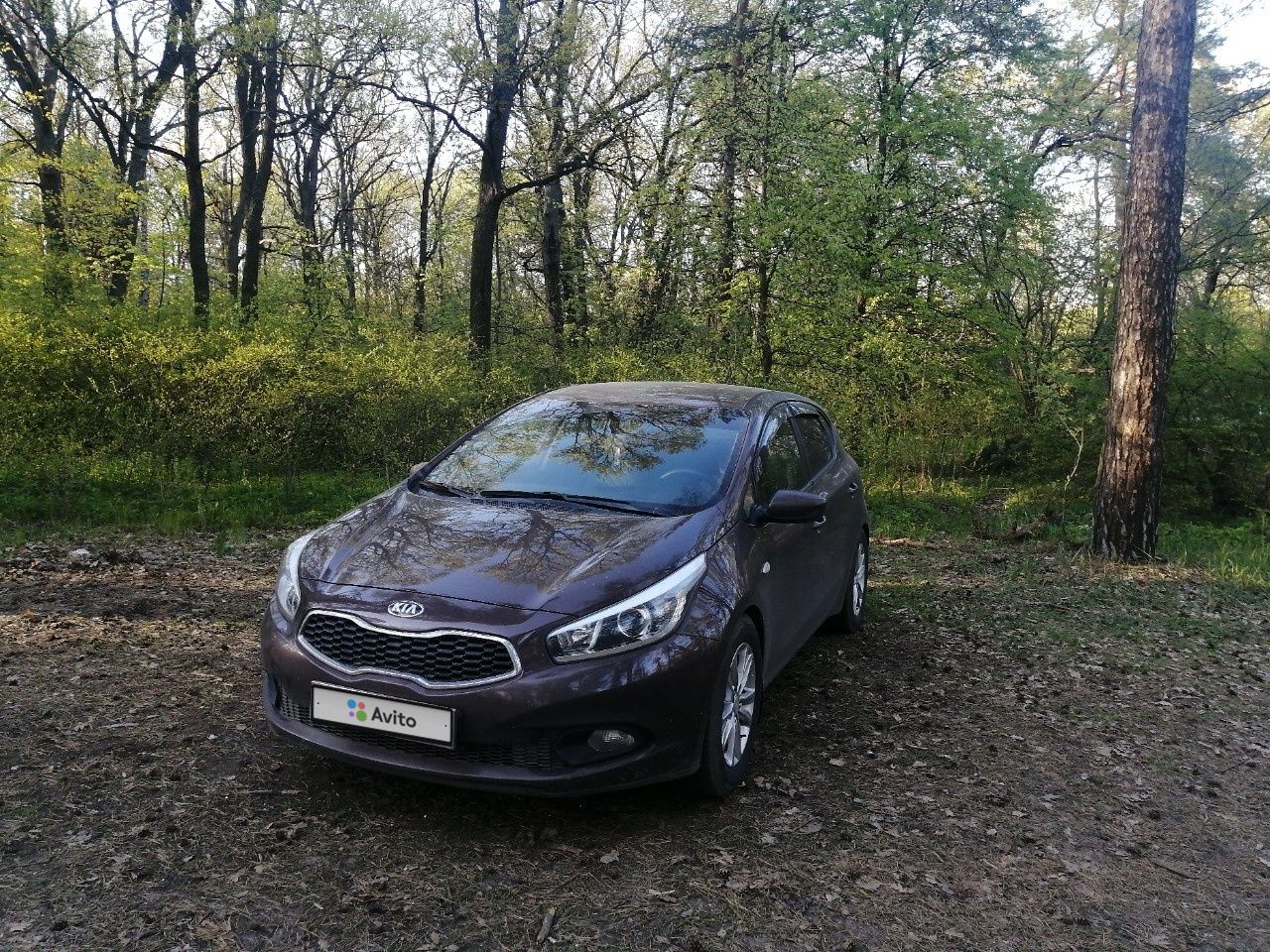 Kia Ceed: фото владельца