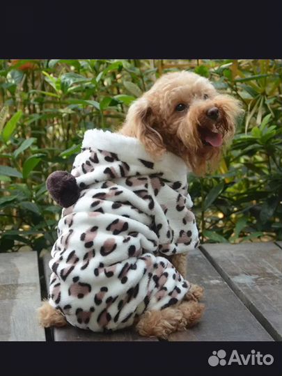 Одежда для собак