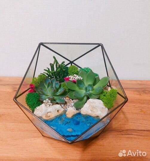 Флорариум, подарок на 8 марта