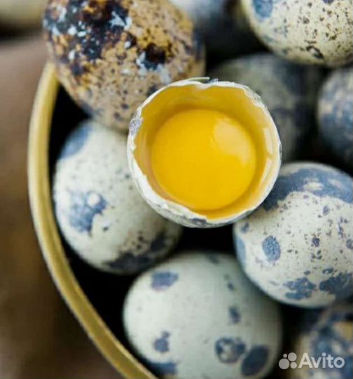Яйца перепелиные
