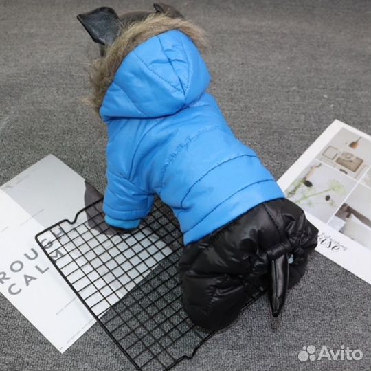 Комбинезон для животных оптом