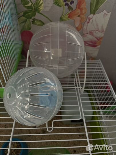 Шарик для хомяка новый