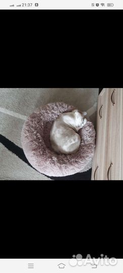 Лежанка для собак и кошек мелких пород