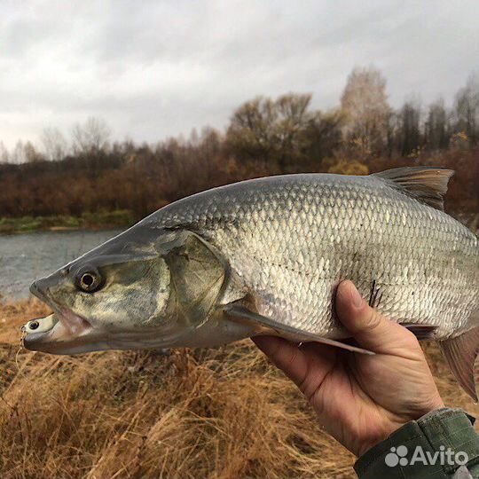 Блесна жерех Седан
