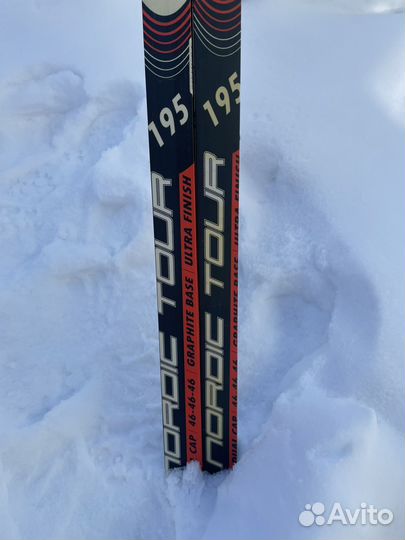 Лыжи беговые Sable Nordic Tour