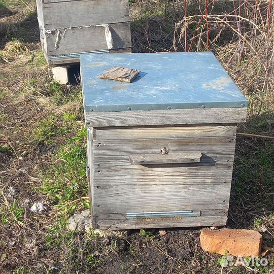 Улей для пчел бу