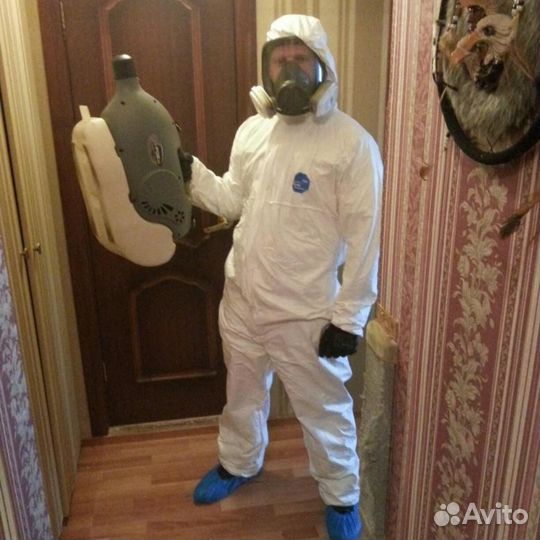 Дезинфекция