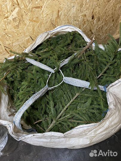 Еловые ветки натуральные