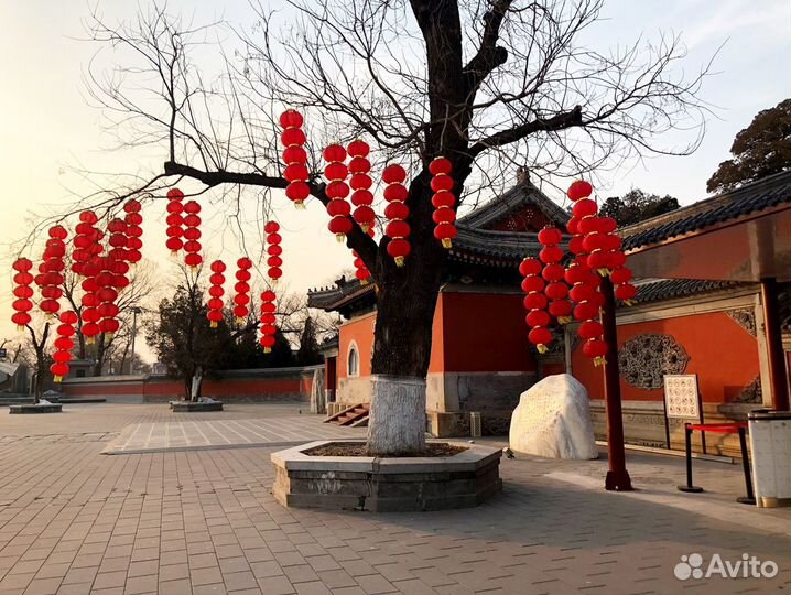 Дипломированный учитель китайского языка