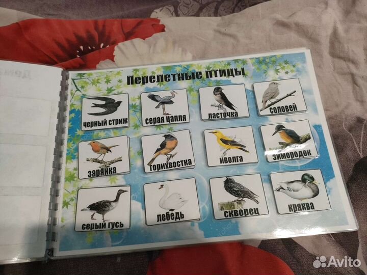 Альбом на липучках