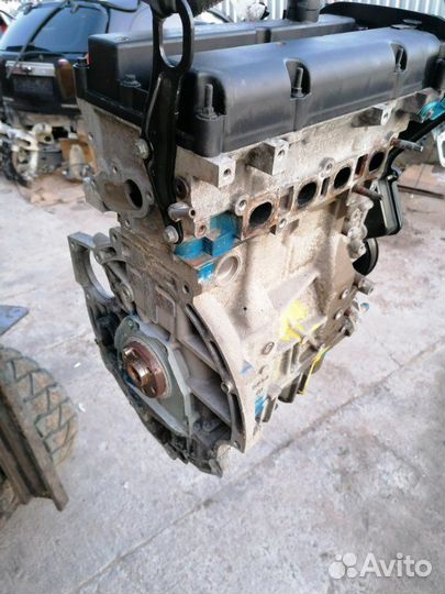 Двигатель Fusion Fiesta C-Max Focus 1.6 fyjb fyja