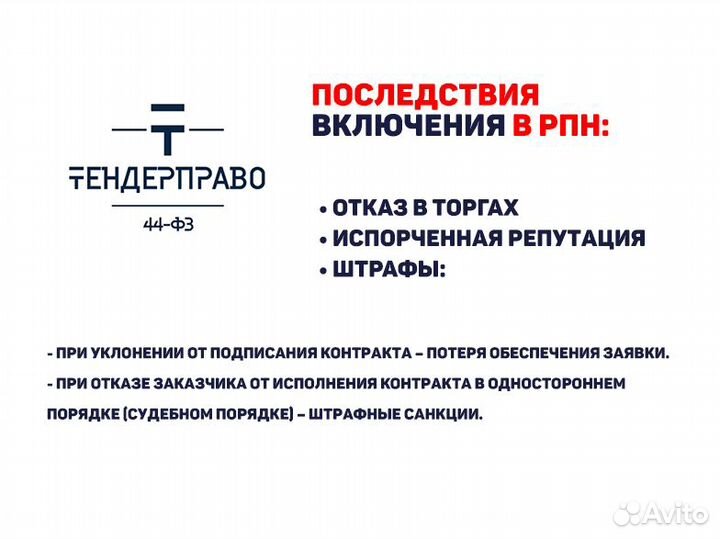 Защищаю от рнп в Мурманске, 44фз, 223фз