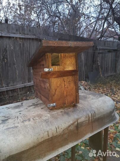 Бельчатник