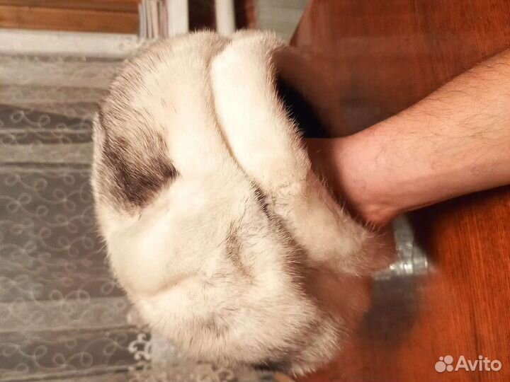 Берет женский норковый