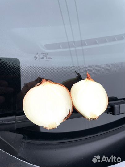 Лук репчатый оптом