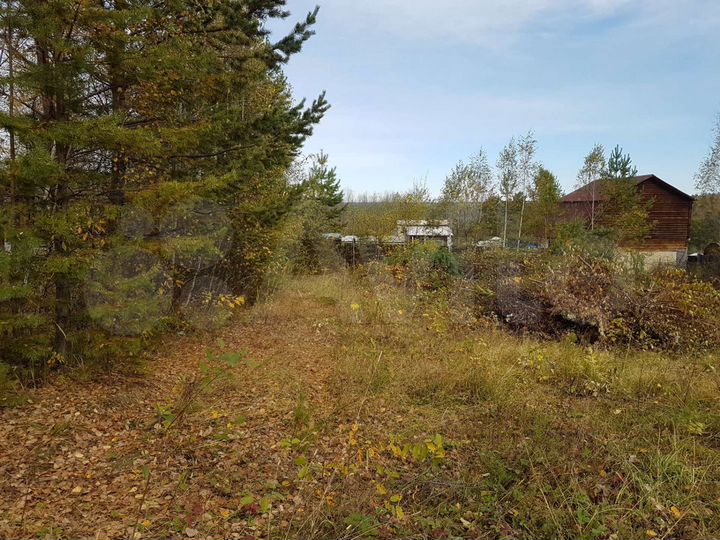 Участок 9,9 сот. (СНТ, ДНП)