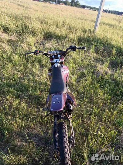 Питбайк (мопед) racer 125