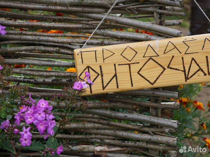 Экскурсия — Смоленск — Прекрасный день в Смоленско