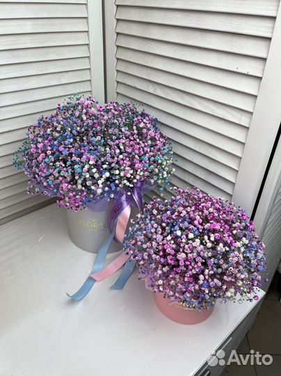 Гипсофила в коробке