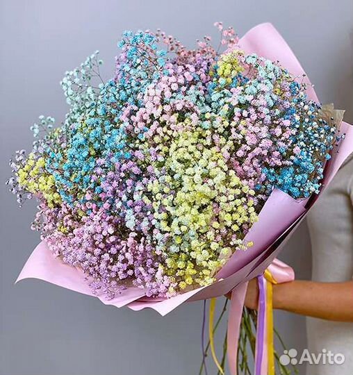 Гипсофила всех цветов