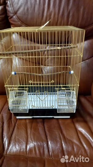 Клетка для птиц