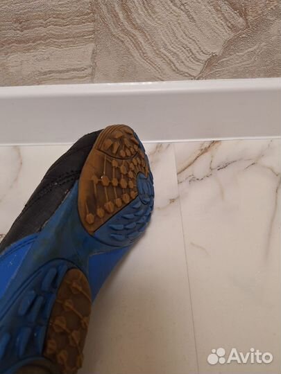 Сороконожки kappa