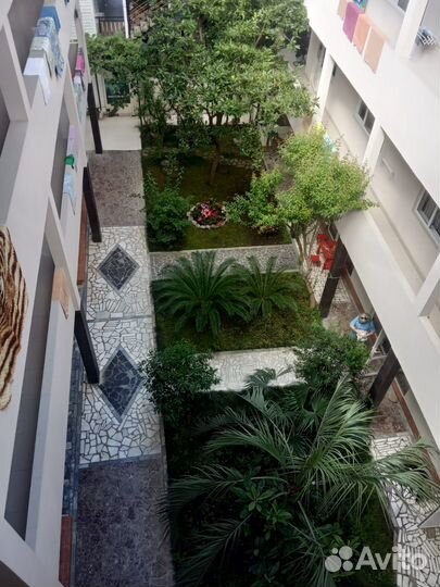 Отзыв с отдыха в Сочи