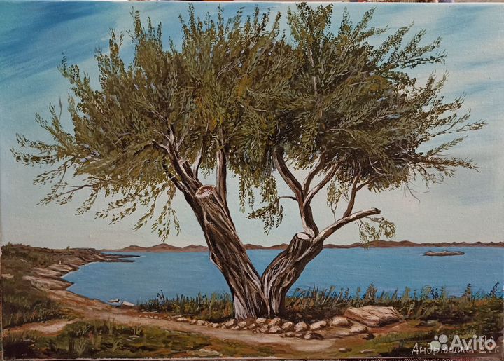 Картина маслом на холсте.Оливковое дерево