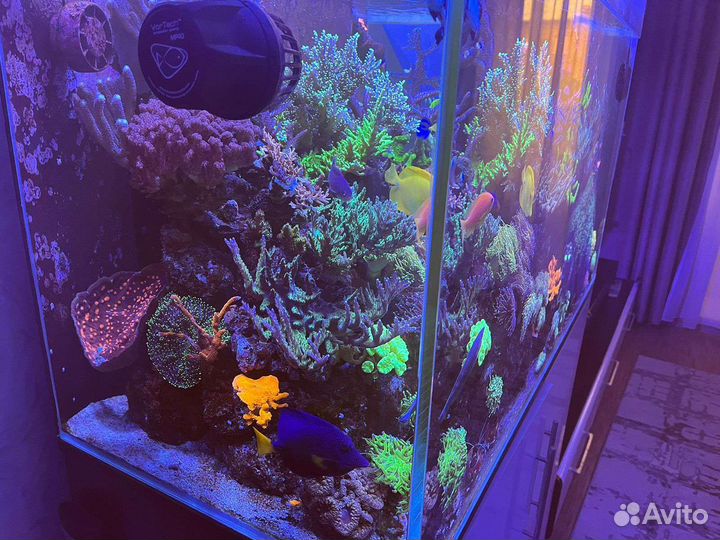 Морской аквариум 465 литров