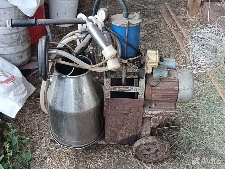 Доильный апора