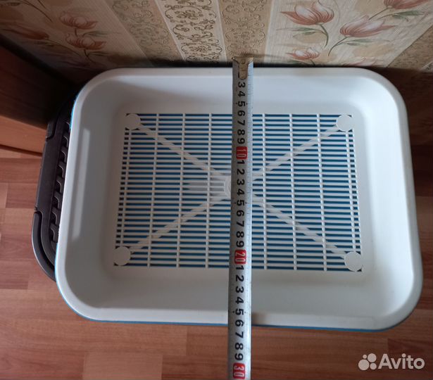 Лоток для котят