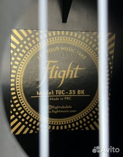 Укулеле flight концерт