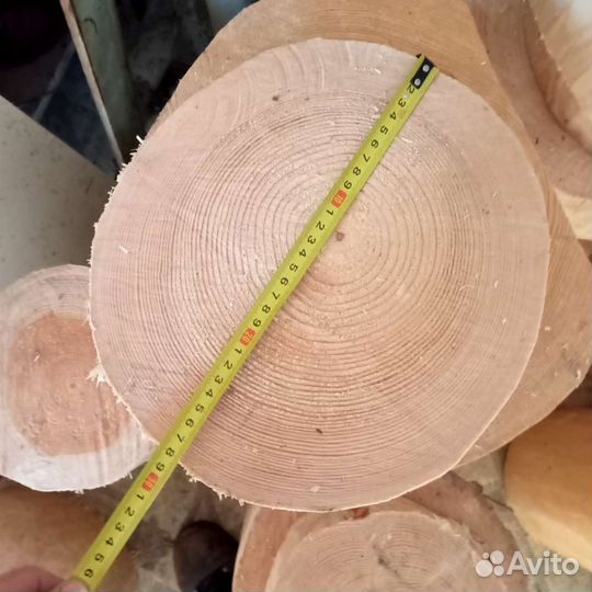 Торцевые спилы деревьев