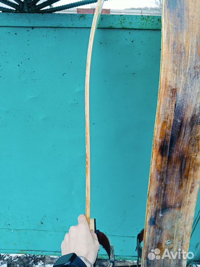 Лыжи охотничьи