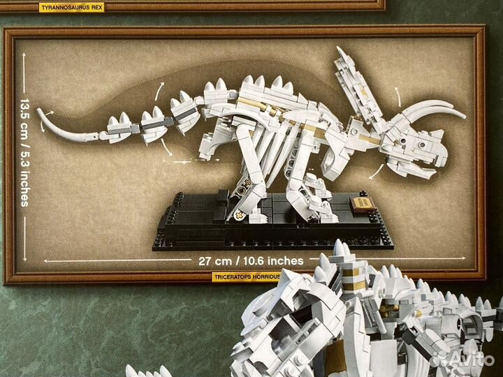 Lego Ideas 21320 Кости динозавра. Новый