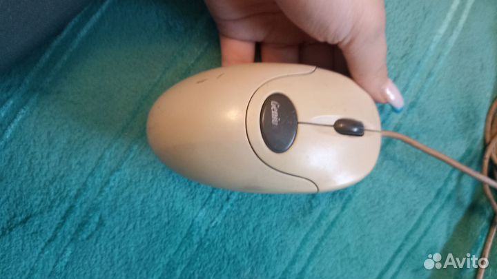 Компьютерная мышь