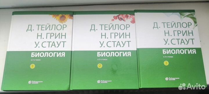 Биология грин стаут тейлор