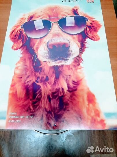 Мелованная бумага для цифровой печати 115- 150г/м2