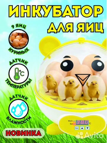 Инкубатор для яиц