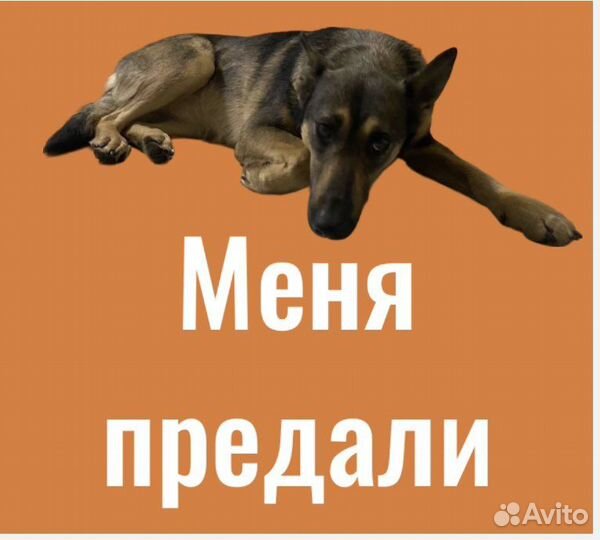 Я ищу свою семью