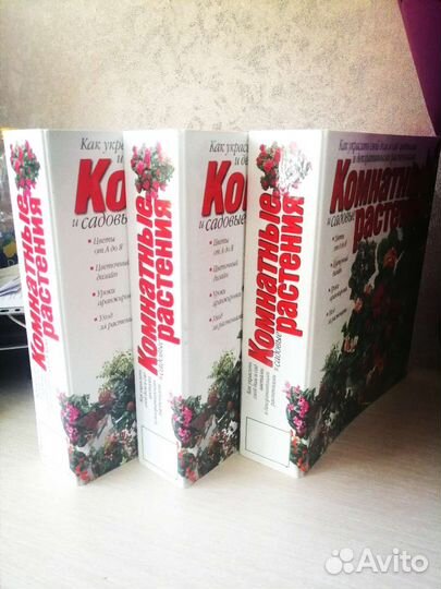 Комнатные растения