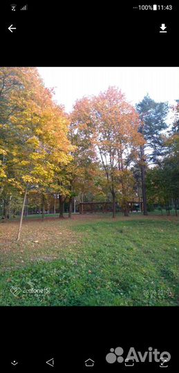 Благоустройство участков