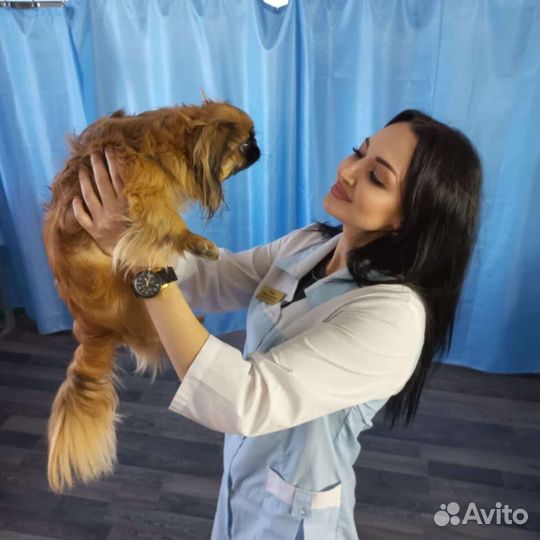 Ветеринарные услуги