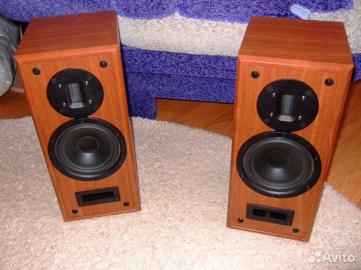 Акустическая система canton + fountek