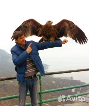 Экскурсии по Крыму из Ялты на минивэне